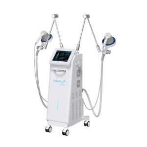 2 Handles TERAPIA Magnetica Laser Physical Therapy System