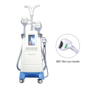 Stationary Multi-function Body Cellulite Removal Equipment